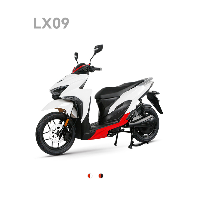 LX09